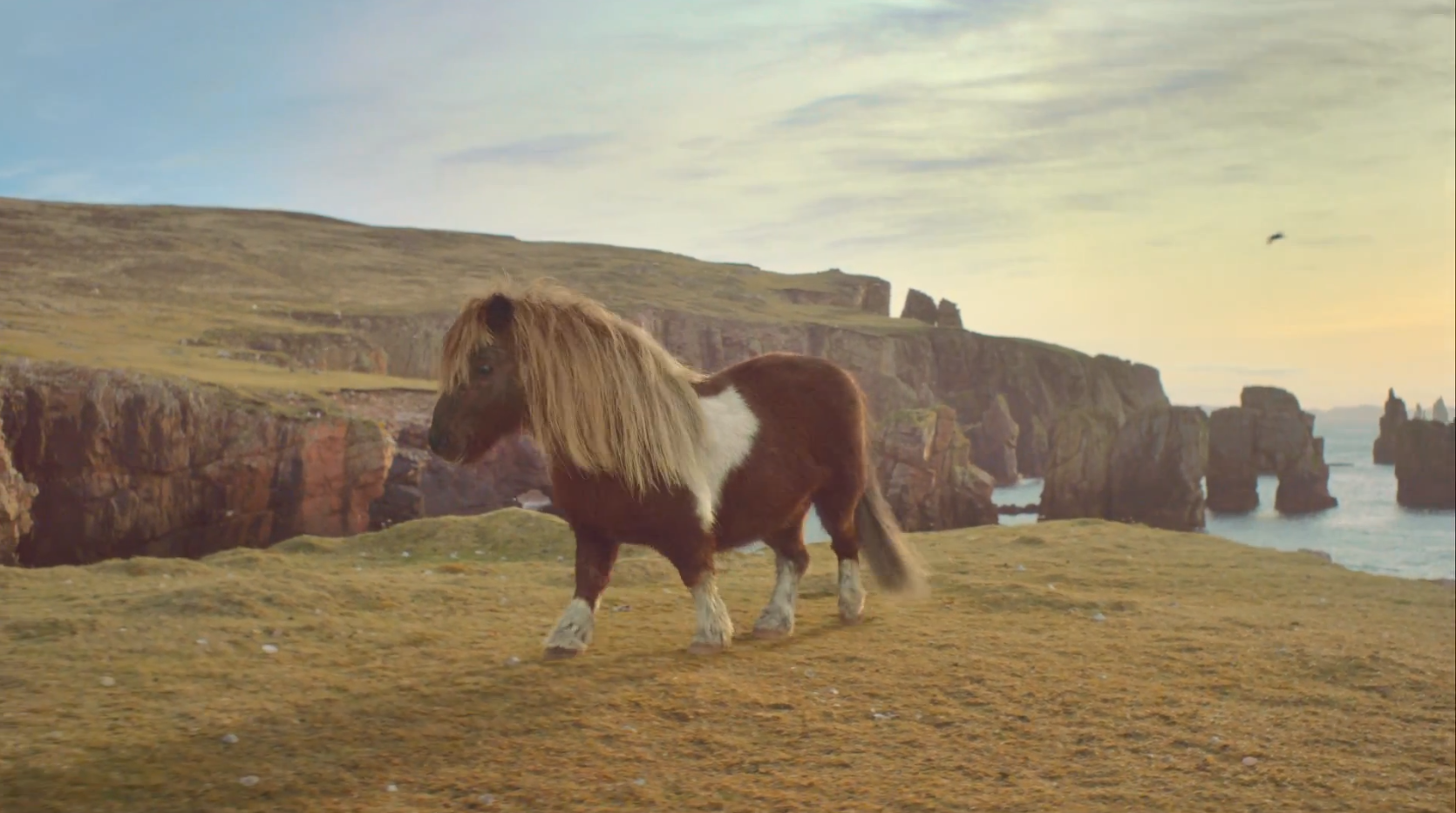 Michael Jackson, VideoExtra, Video, Shetlandsponny